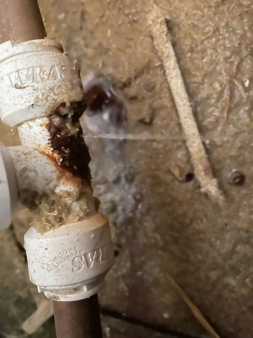 Roof and brick wall inspection